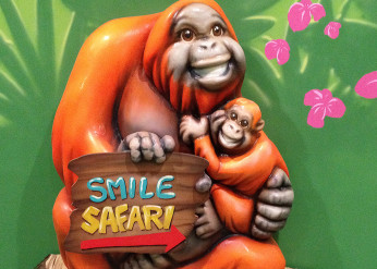 Smile Safari