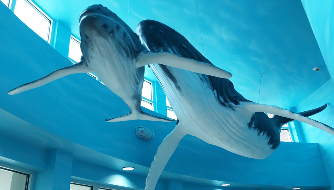 Whale_homepage_mini